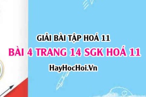 Giải bài 4 trang 14 SGK Hoá 11: Sự điện li của nước (H2O), khái niệm pH, chất chỉ thị Axit Bazơ